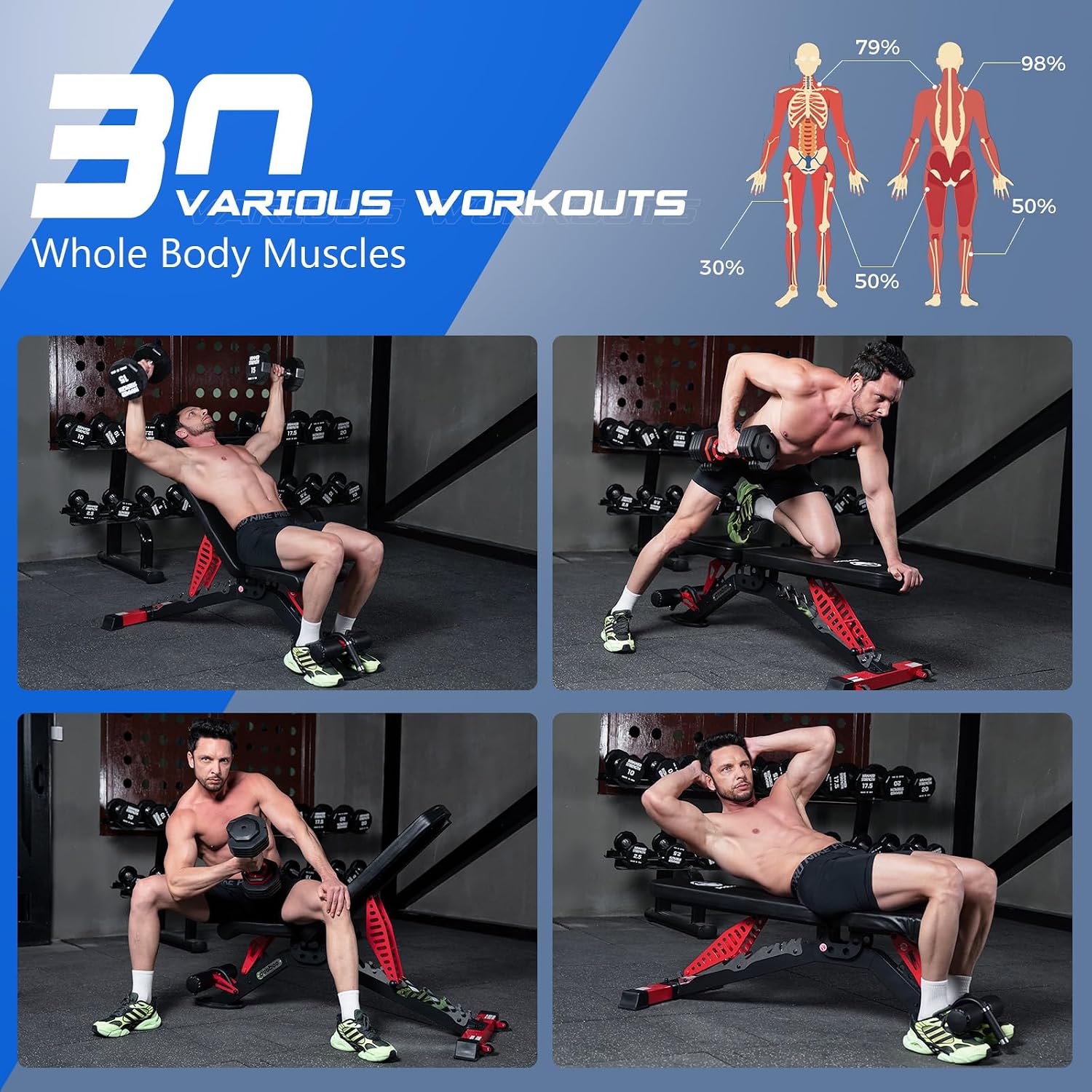 Регулируемая силовая скамья, г – обзор и цена Home Gym Weights