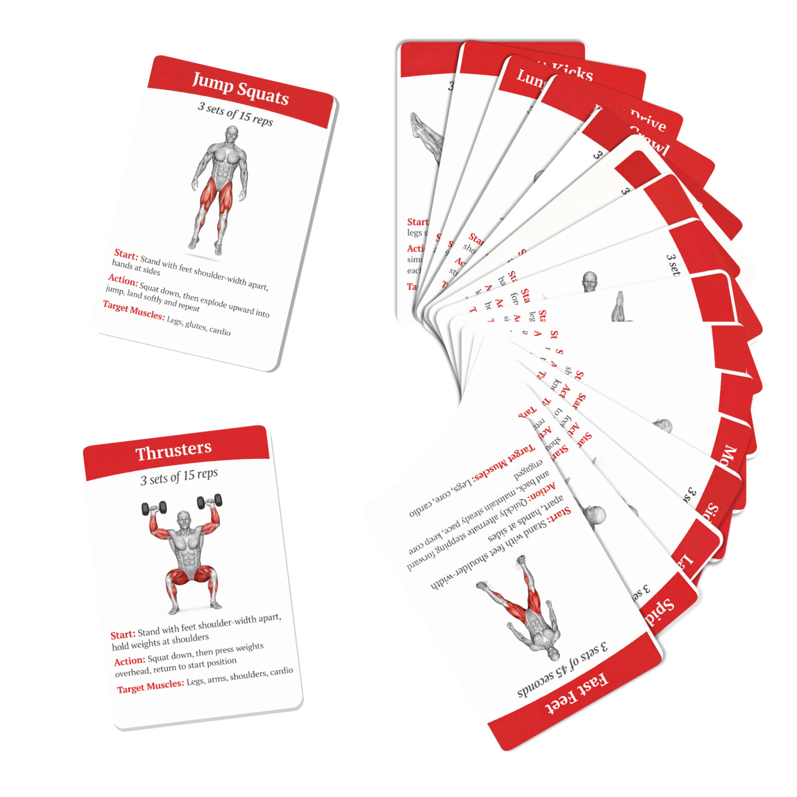 36 карточек с инструкциями по  – обзор и цена Home Gym Needs